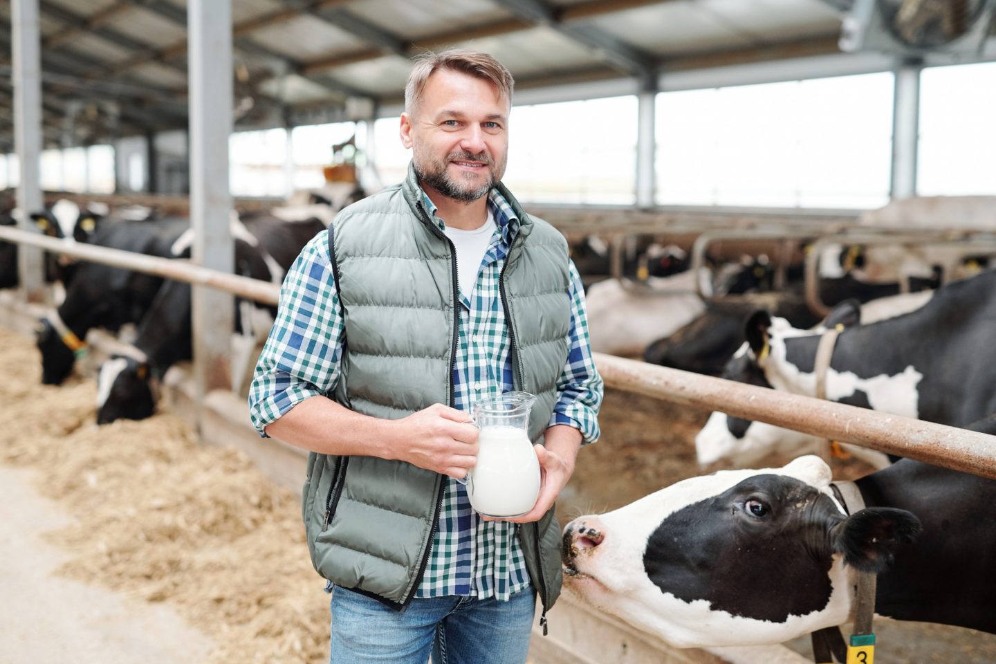 Happy young worker of dairy farm holding jug with fresh milk